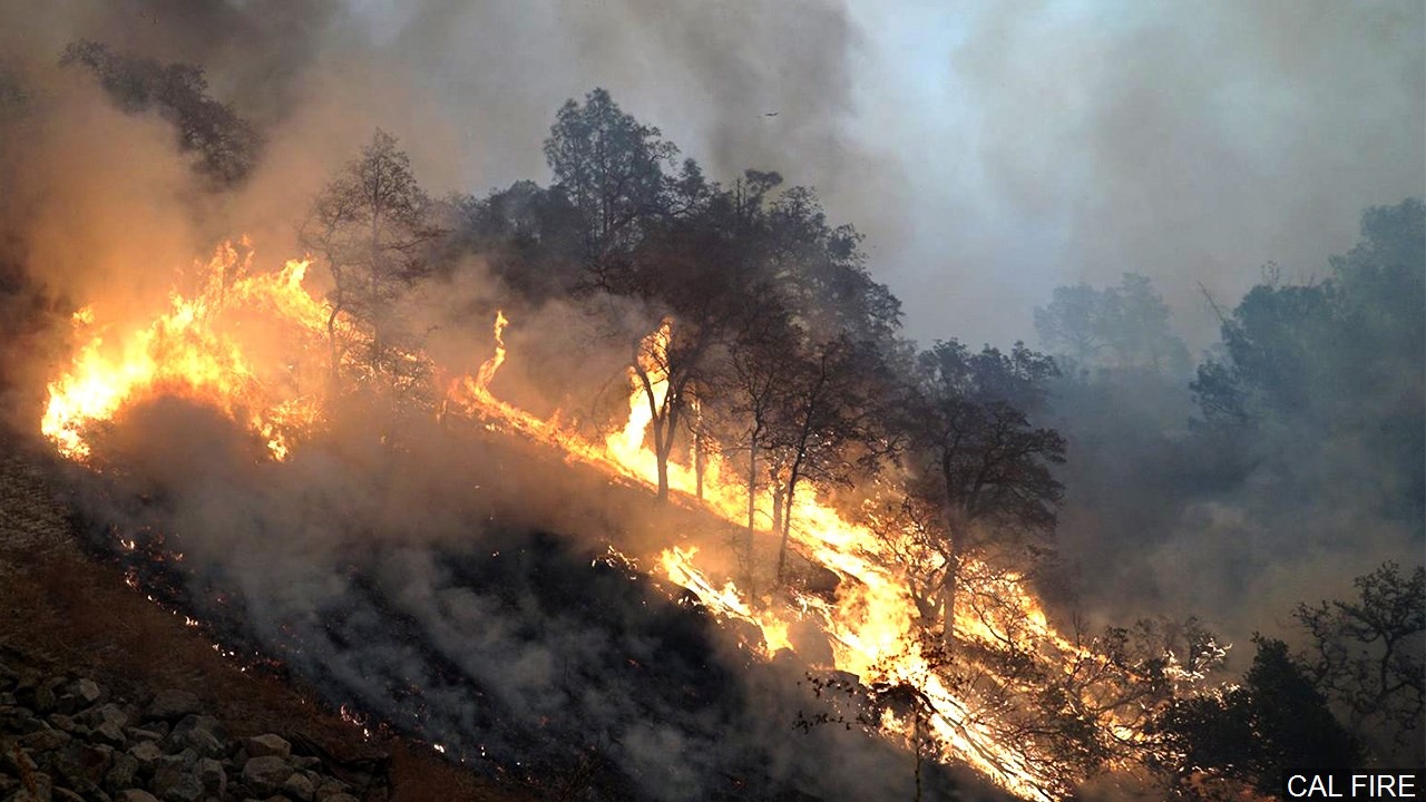 Death Toll Rises To 42 In California’s Camp Fire - ICN WORLD